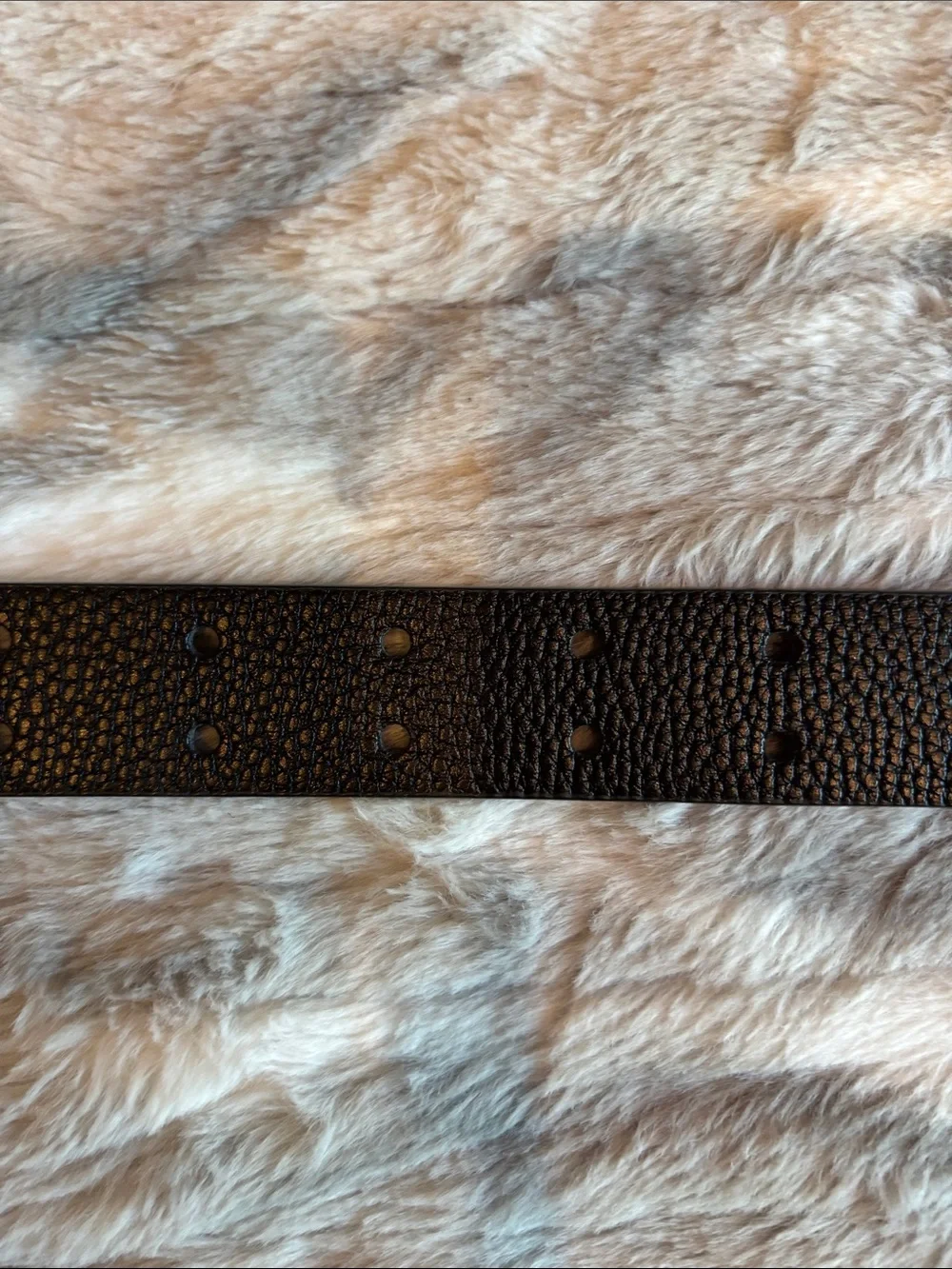 wild fable Black Western-Style Belt with Ornate Silver-Tone Buckle